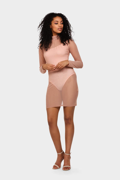 Rose Mesh Ruch Neck Bodycon Mini Dress