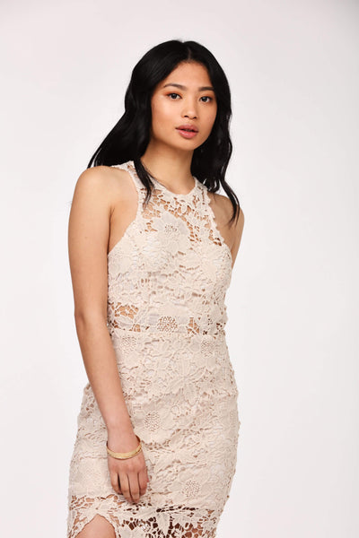 Stone Crochet Open Back Dress