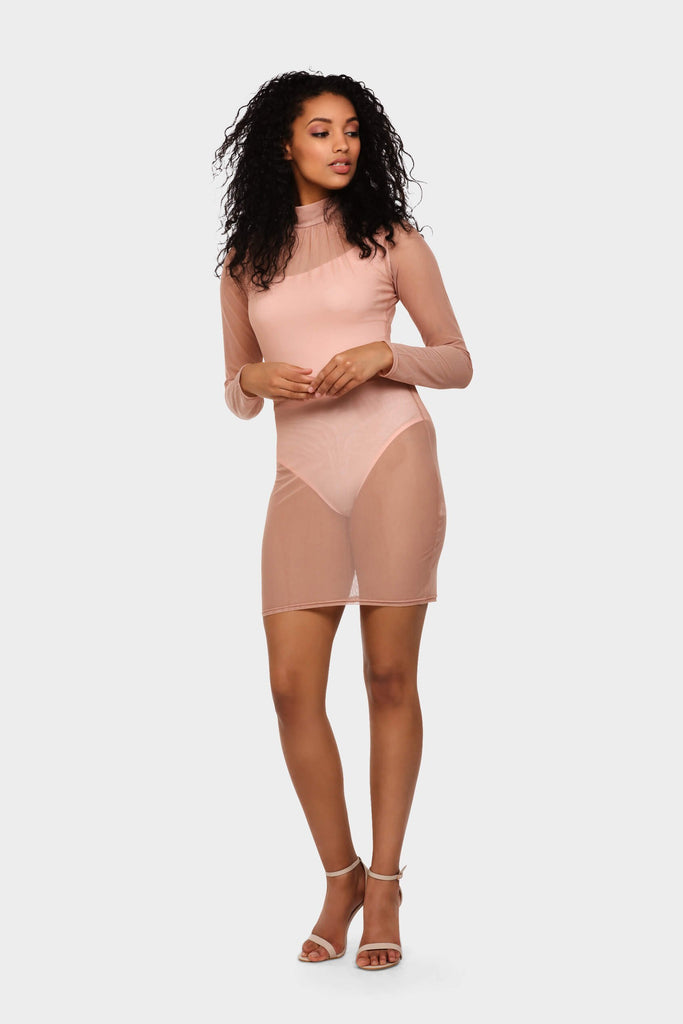 Rose Mesh Ruch Neck Bodycon Mini Dress