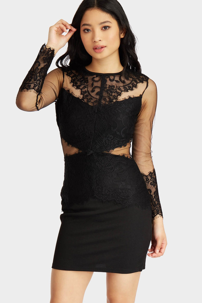 Black Crochet And Mesh Bodycon Mini Dress