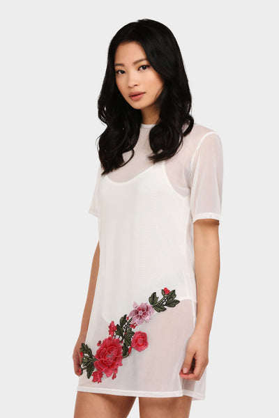 Cream Mesh Embroidered Dress And Bodysuit