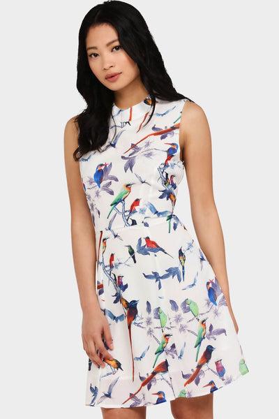 Multi Bird Print Skater Dress